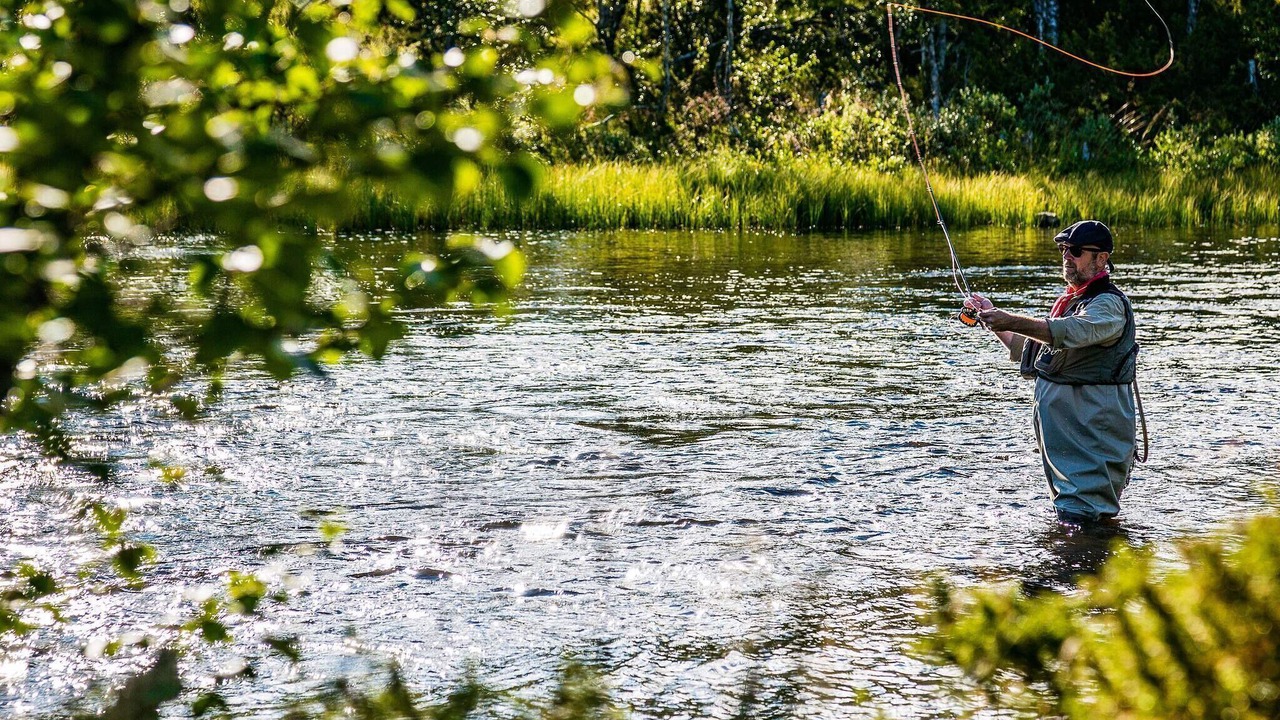 Photo of Others in Lofsdalen