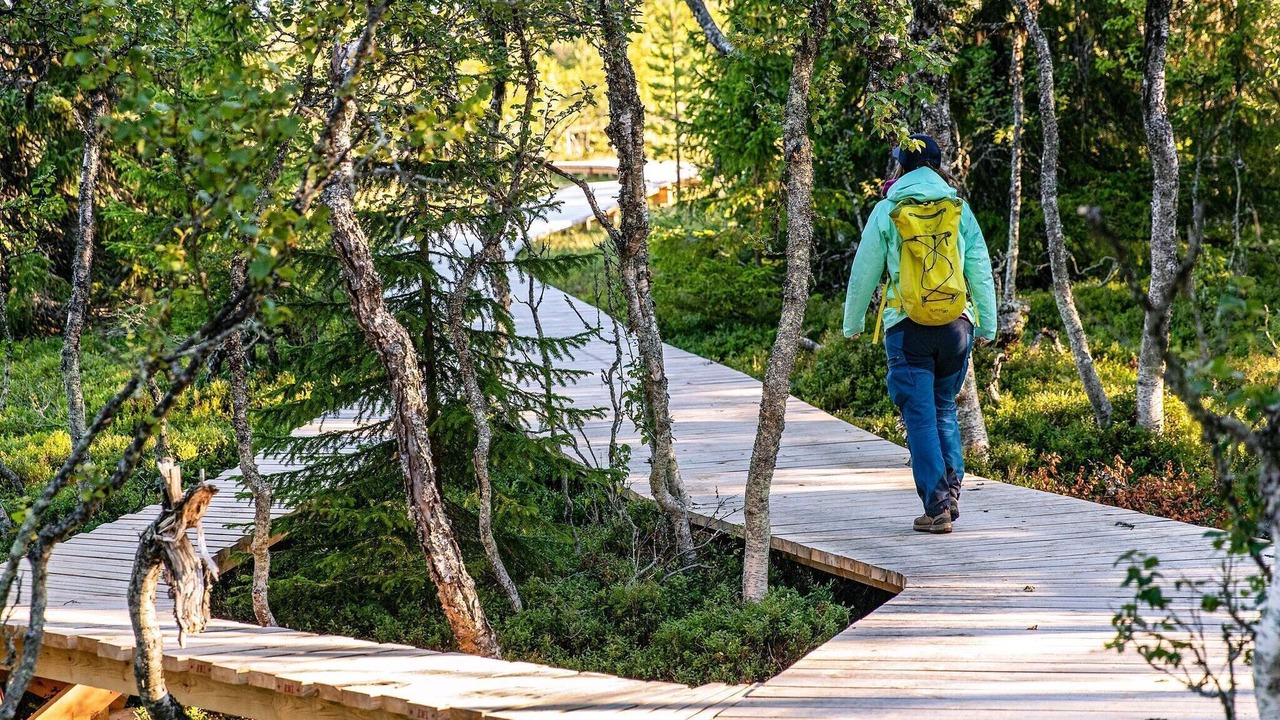 Photo of Outdoor in Lofsdalen