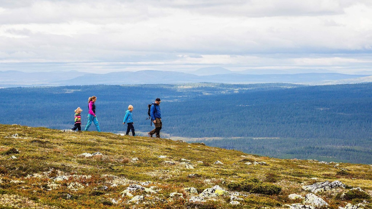 Photo of Others in Lofsdalen