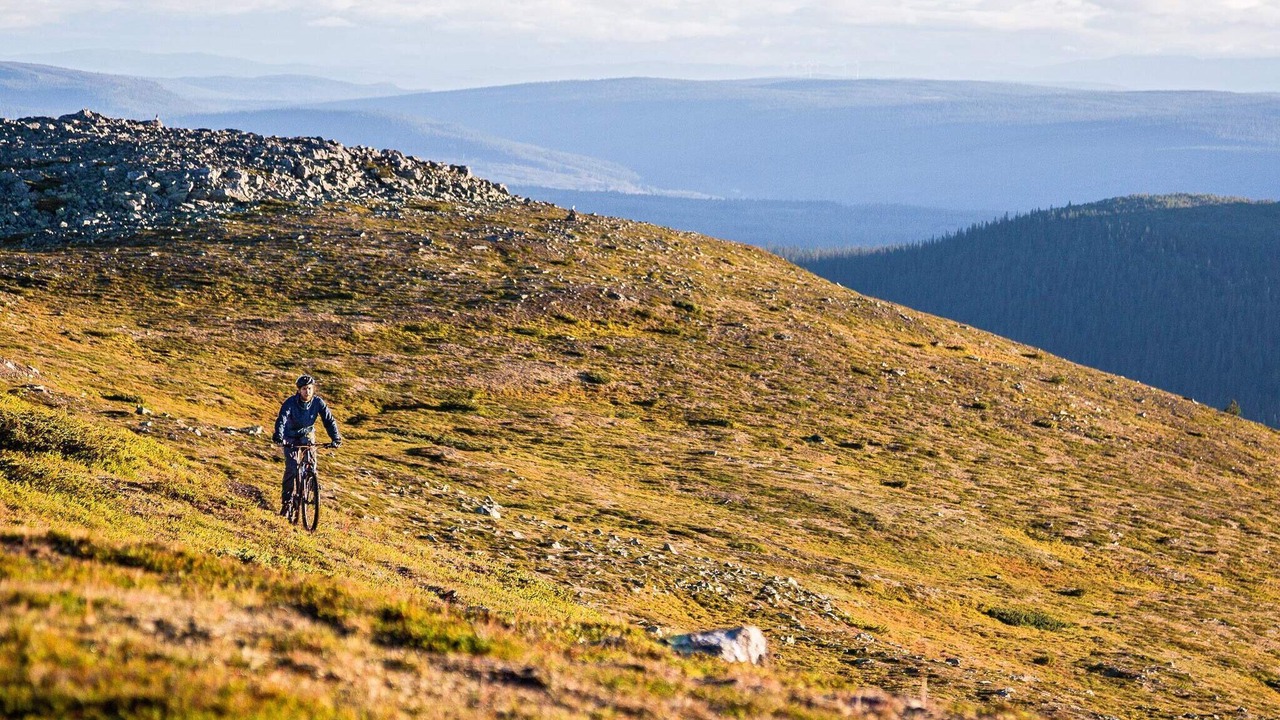 Photo of Outdoor in Lofsdalen