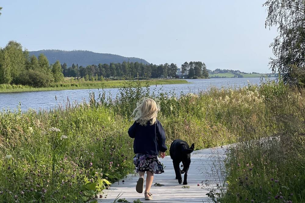 Photo of Others in Svenstavik