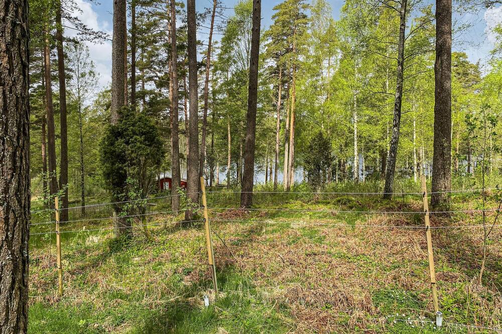 Photo of Others in Bjorketorp
