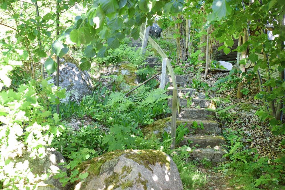 Photo of Others in Vimmerby Municipality
