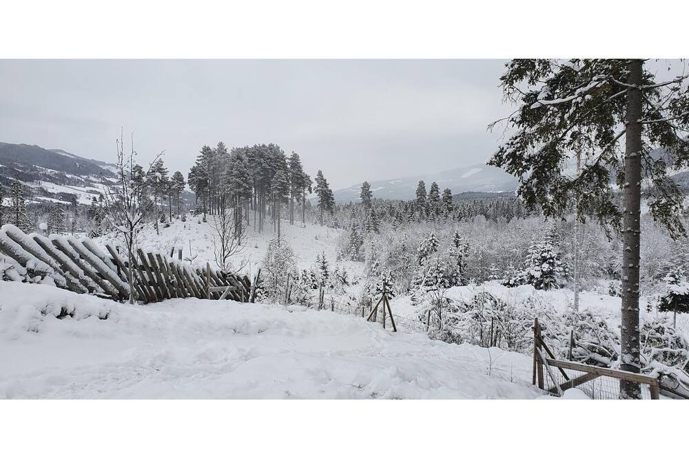 Photo of Others in Gausdal