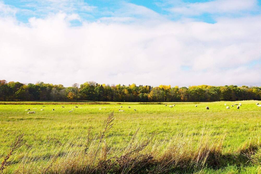 Photo of Outdoor in Morko