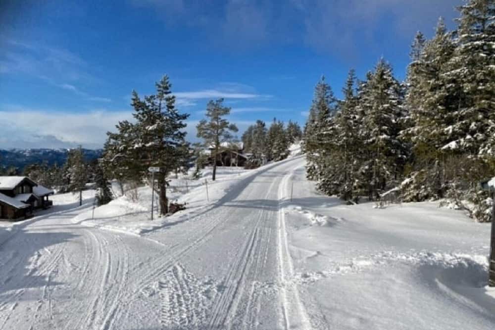 Photo of Others in Nissedal