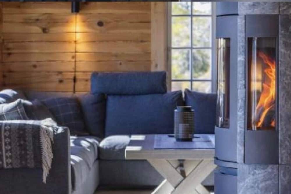Photo of Livingroom in Nissedal