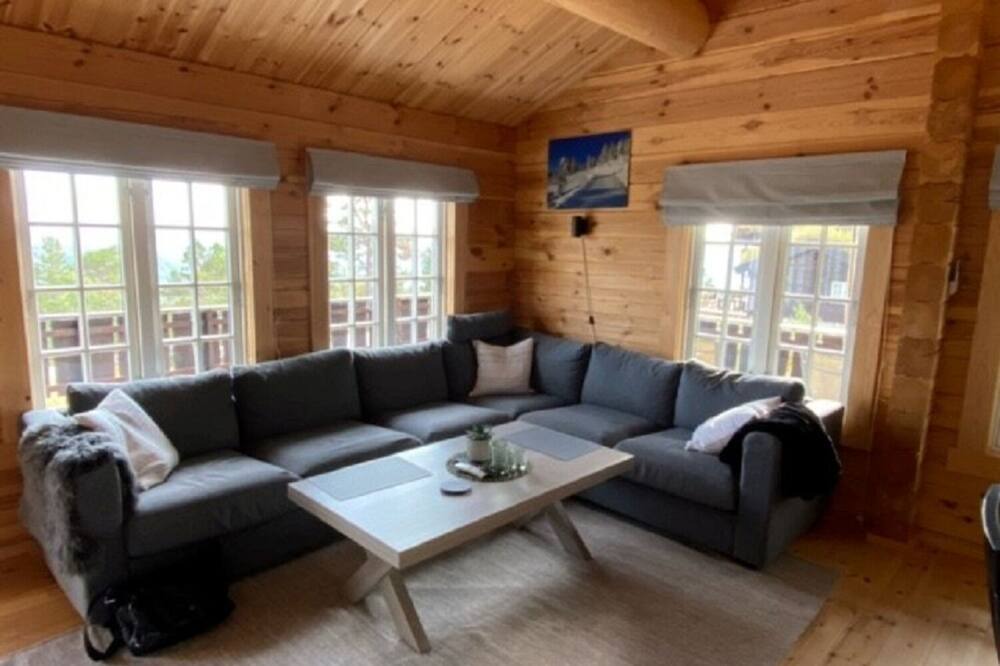 Photo of Livingroom in Nissedal