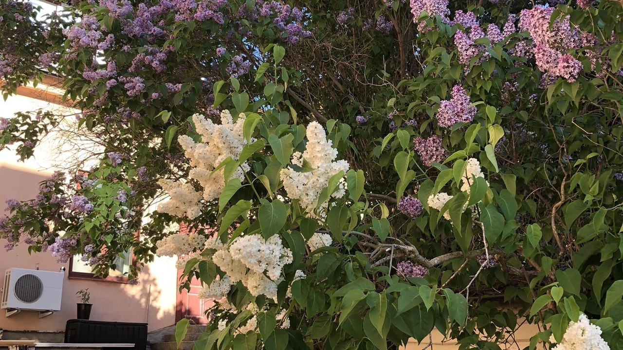 Photo of Outdoor in Eskilstuna