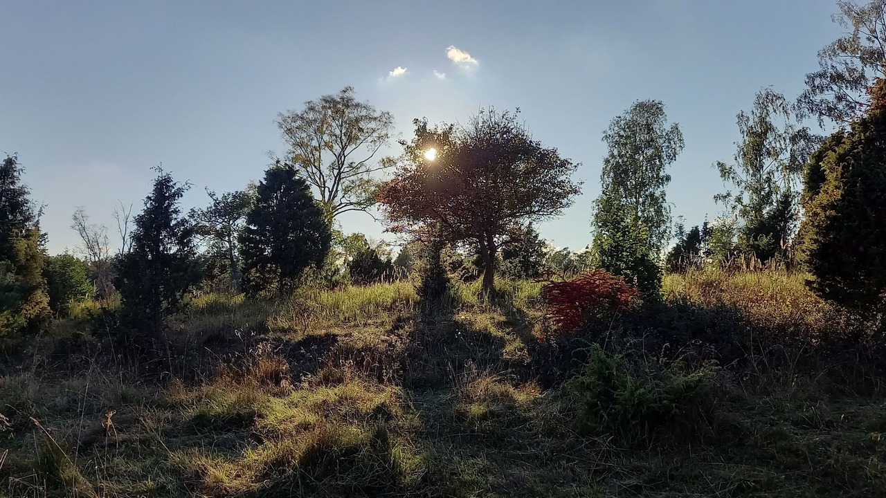 Photo of Outdoor in Musko
