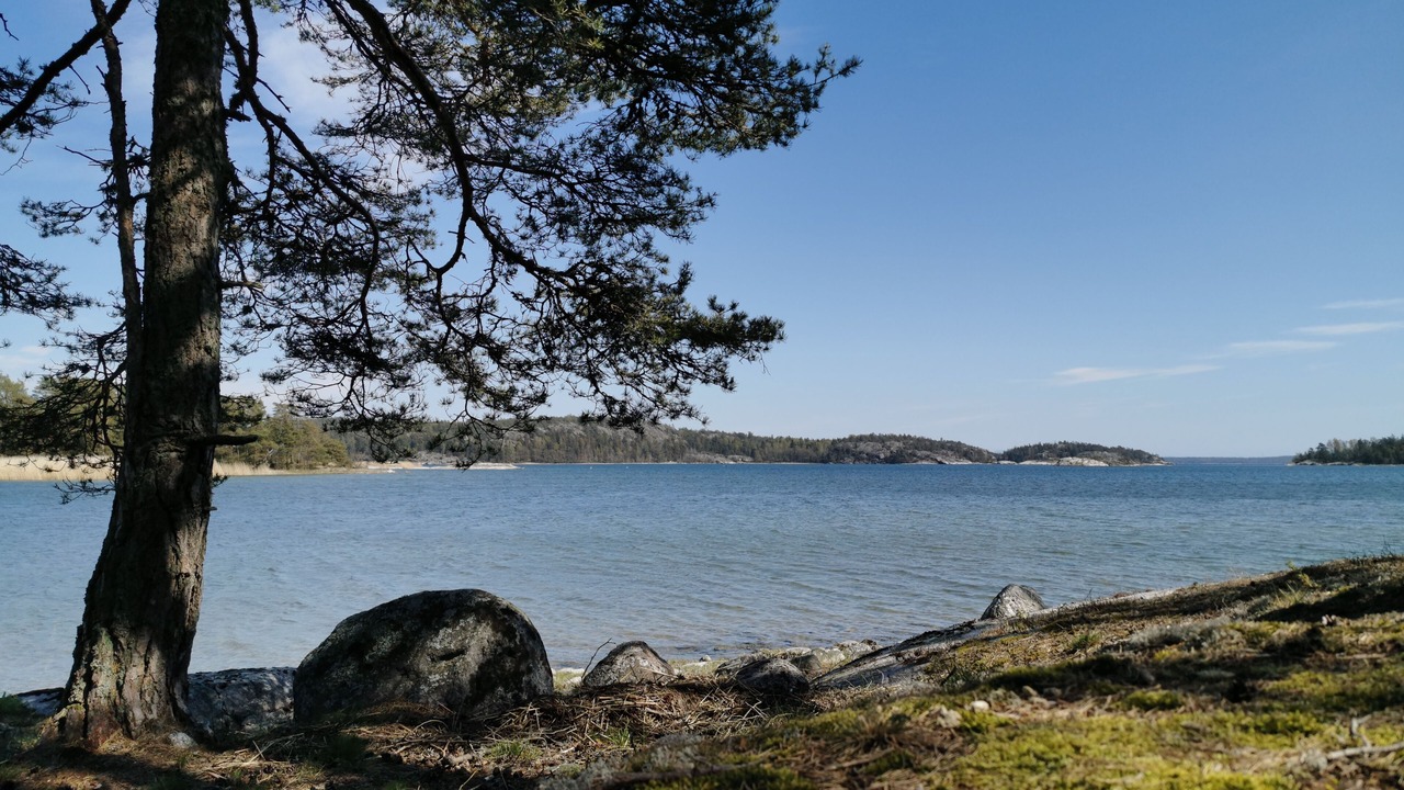 Photo of Outdoor in Musko