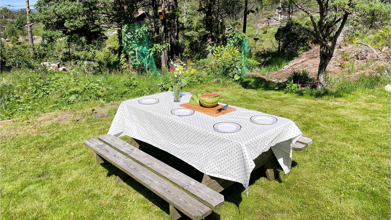 Photo of Outdoor in Hervik