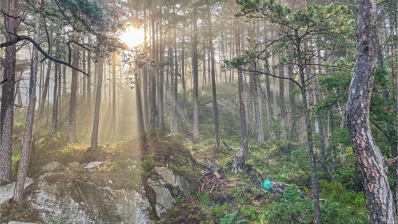 Photo of Outdoor in Hervik