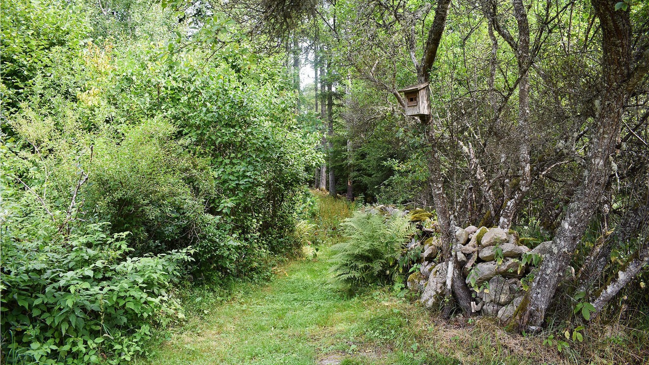 Photo of Outdoor in Hastveda