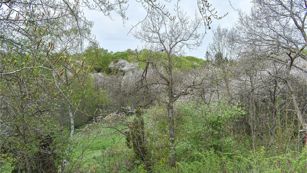 Photo of Outdoor in Veberod