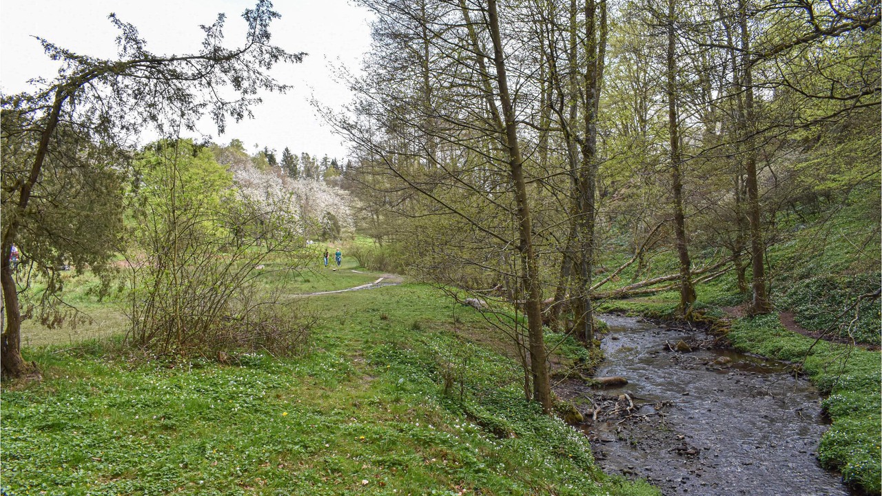 Photo of Outdoor in Veberod