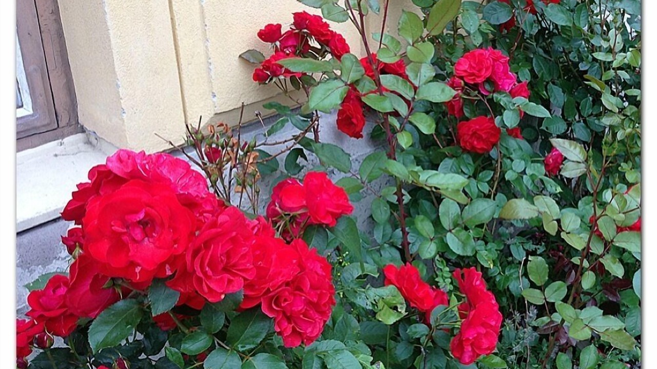 Photo of Outdoor in Kristinehamn