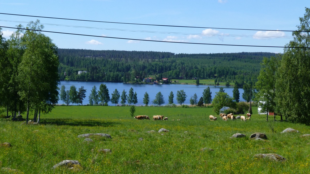 Photo of Outdoor in Langshyttan