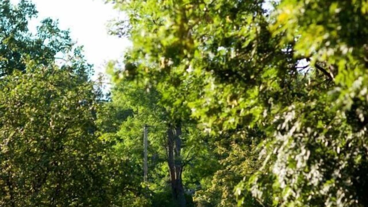 Photo of Outdoor in Grinda
