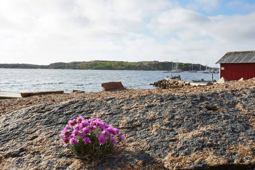 Photo of Others in Bovallstrand