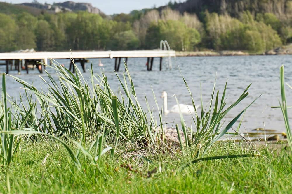 Photo of Others in Bovallstrand