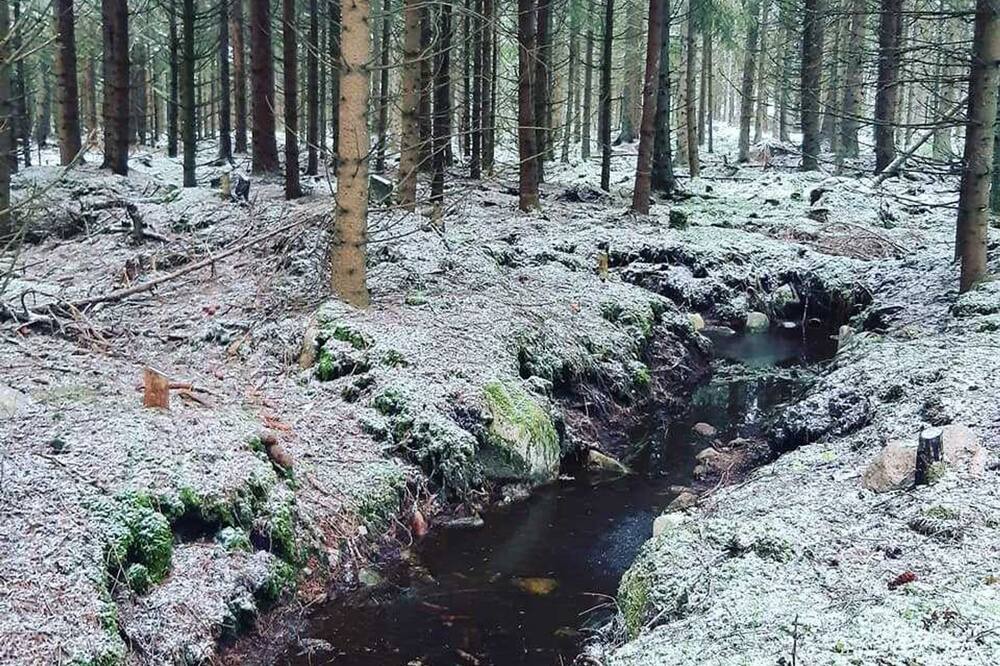 Photo of Outdoor in Mariannelund