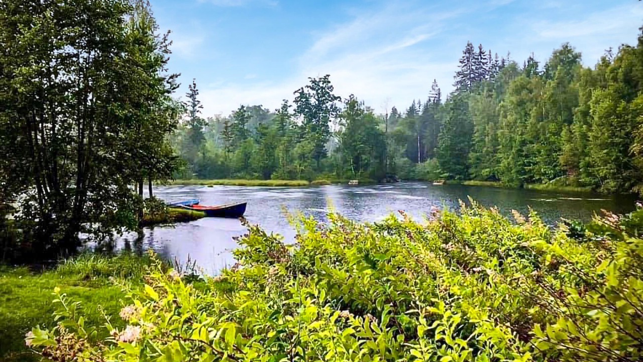 Photo of Outdoor in Ljungbyholm