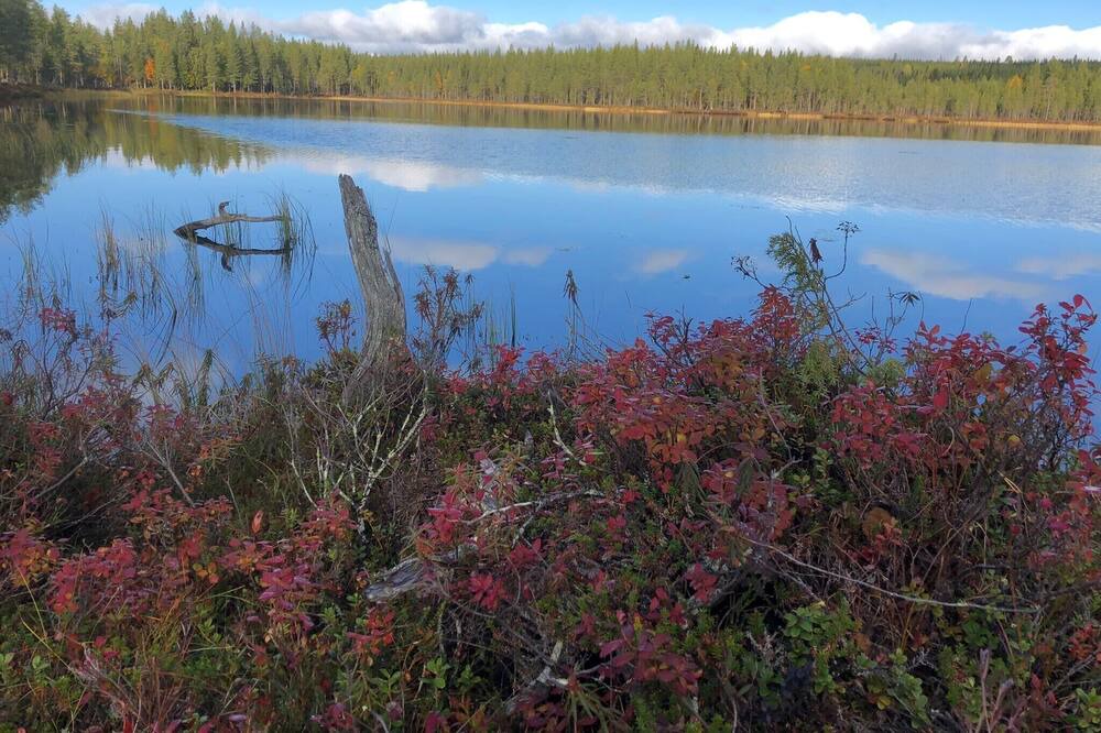Photo of Outdoor in Mala