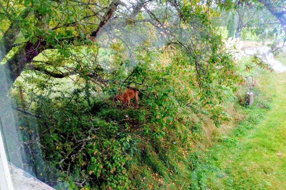 Photo of Others in Ambjorby