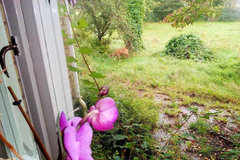 Photo of Outdoor in Ambjorby