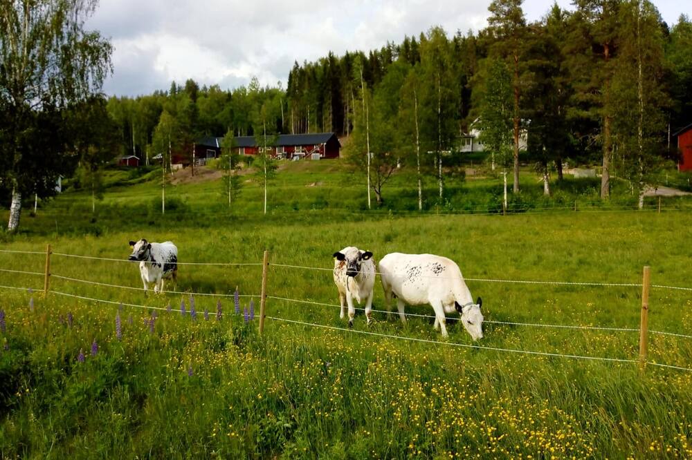 Photo of Others in Ambjorby