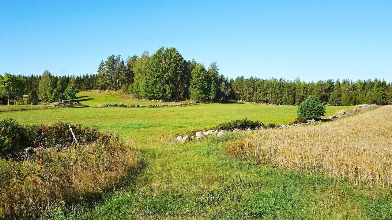 Photo of Others in Vimmerby