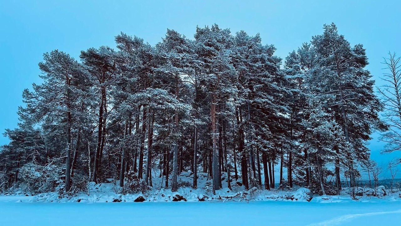 Photo of Outdoor in Stjarnsund