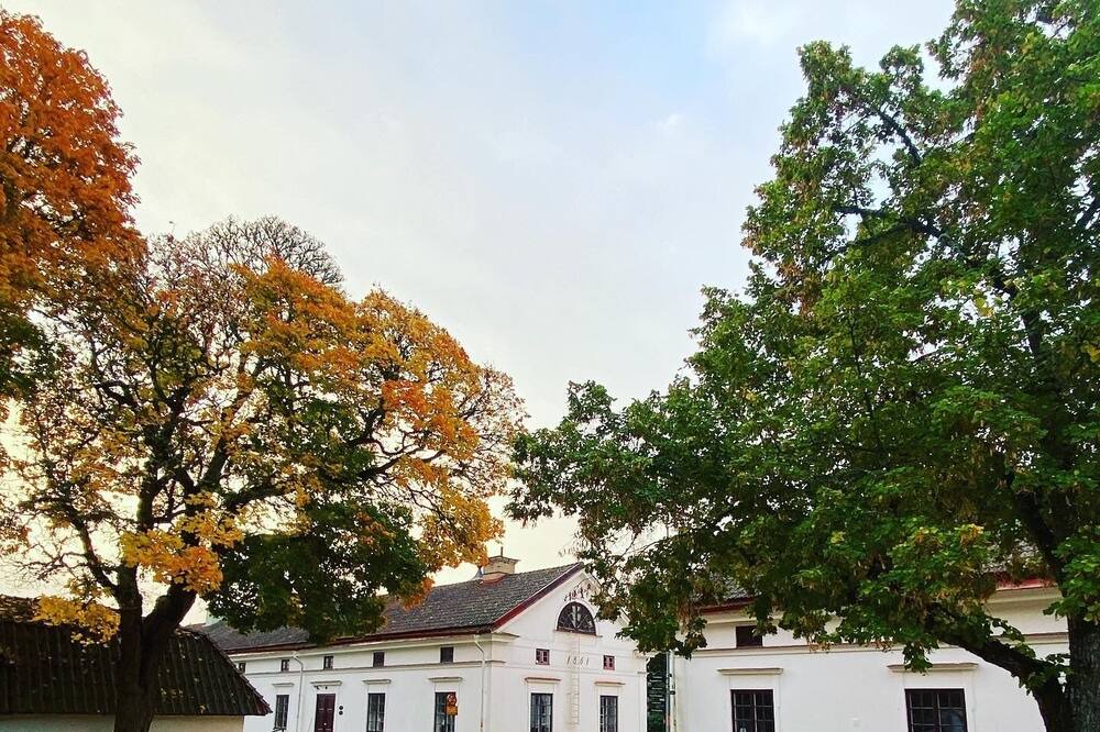 Photo of Outdoor in Gysinge