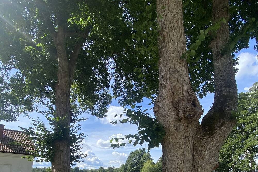 Photo of Outdoor in Gysinge