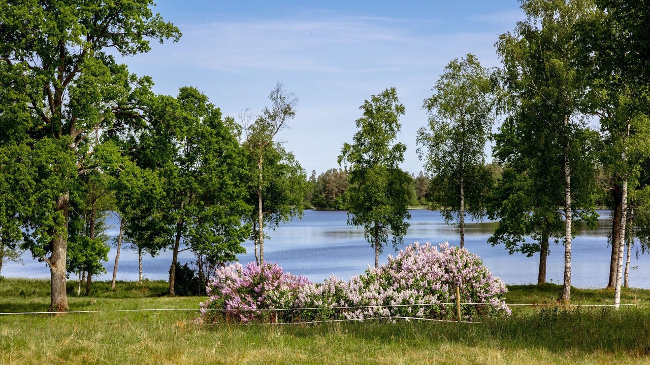 Photo of Outdoor in Stavsjo