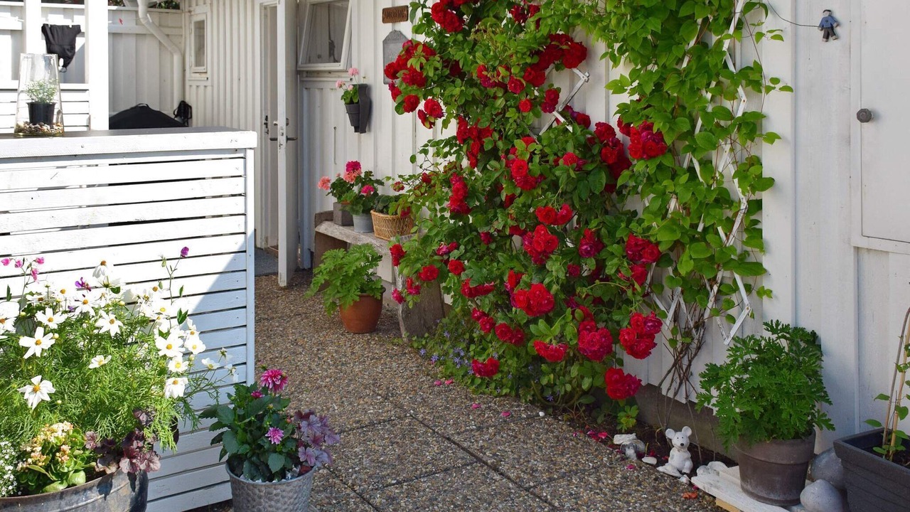 Photo of Outdoor in Kyrkesund