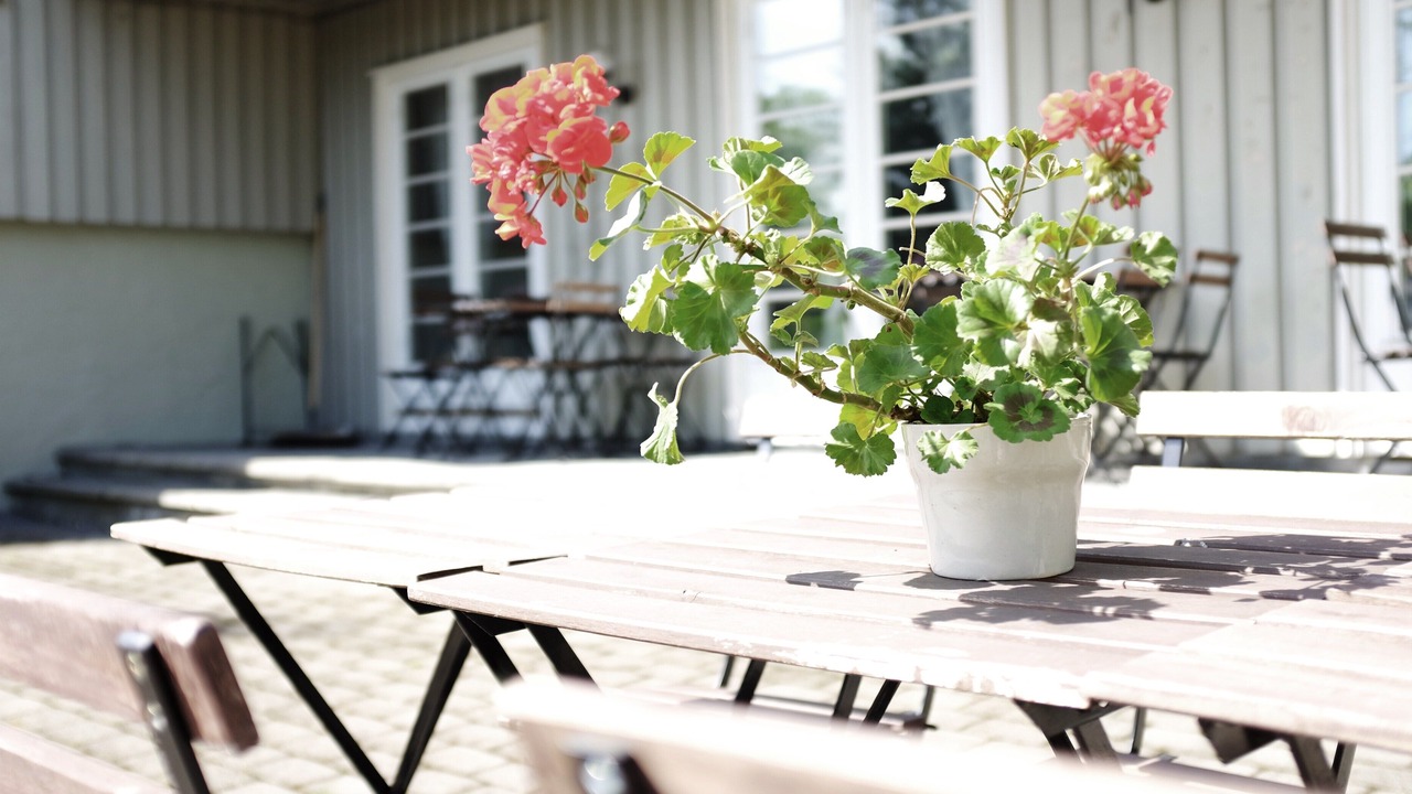 Photo of Outdoor in Trondheim City Centre