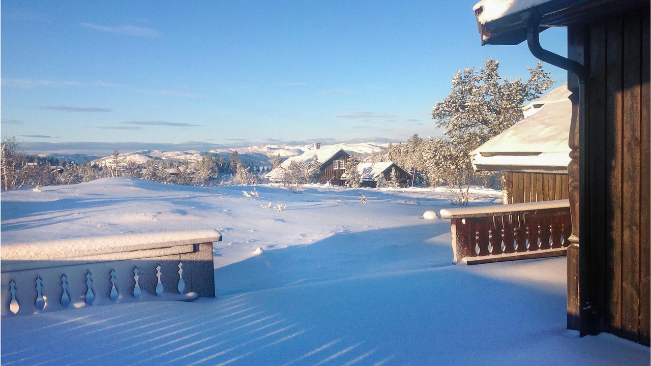 Photo of Others in Nissedal