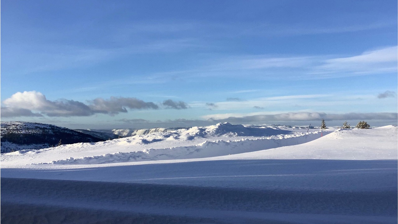 Photo of Others in Nissedal