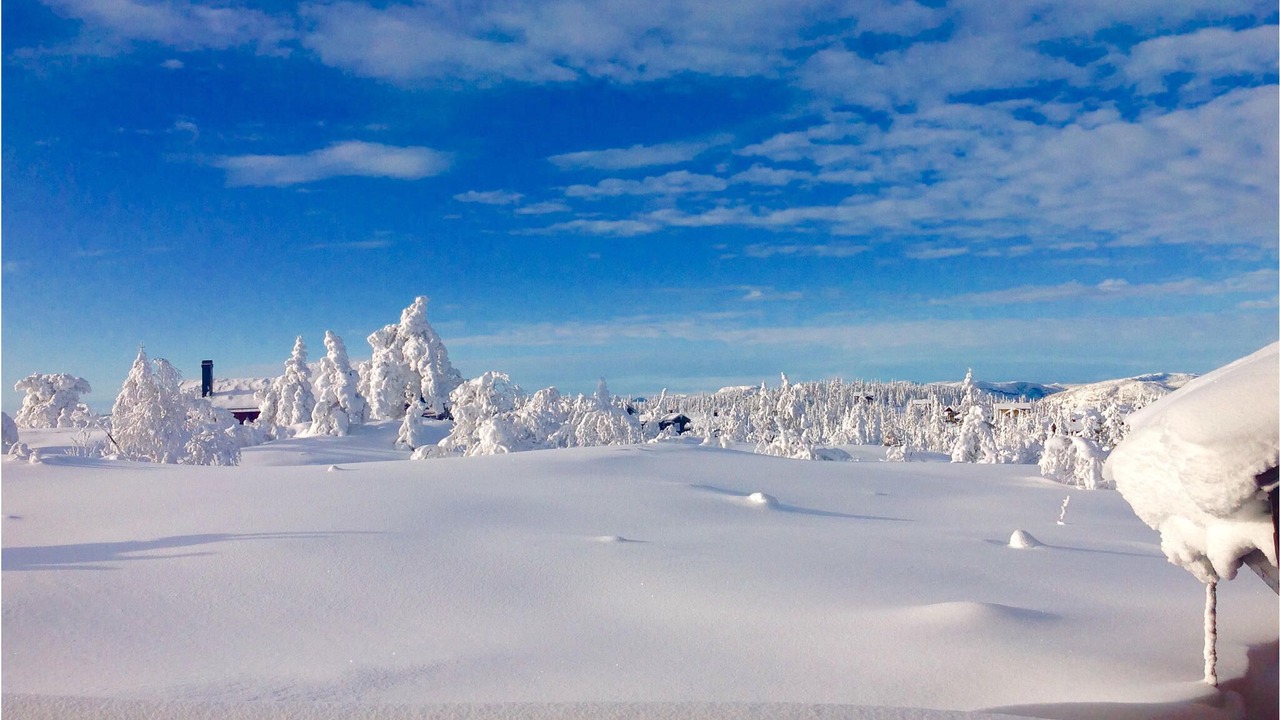 Photo of Others in Nissedal