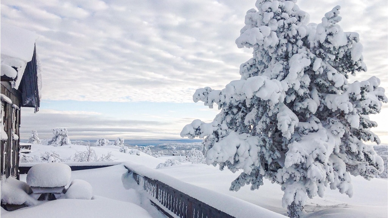 Photo of Outdoor in Nissedal