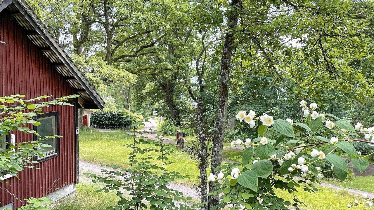 Photo of Outdoor in Roxenbaden