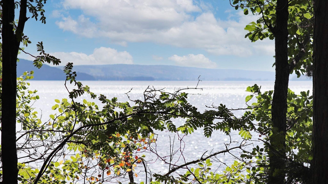 Photo of Outdoor in Ostra Amtervik