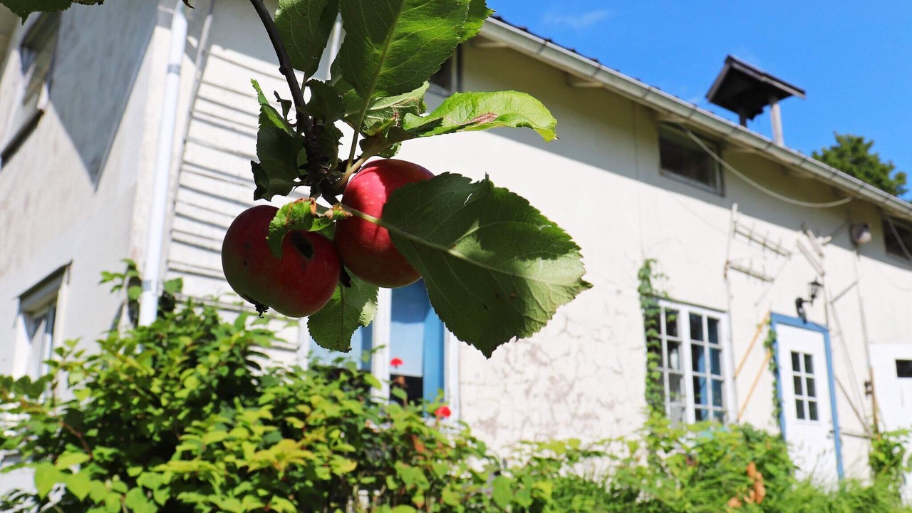 Photo of Outdoor in Ostra Amtervik