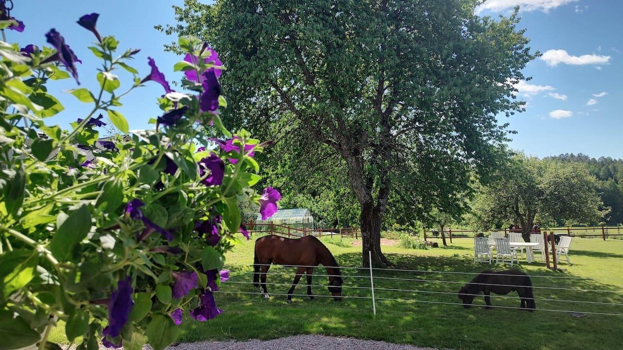 Photo of Outdoor in Horndal