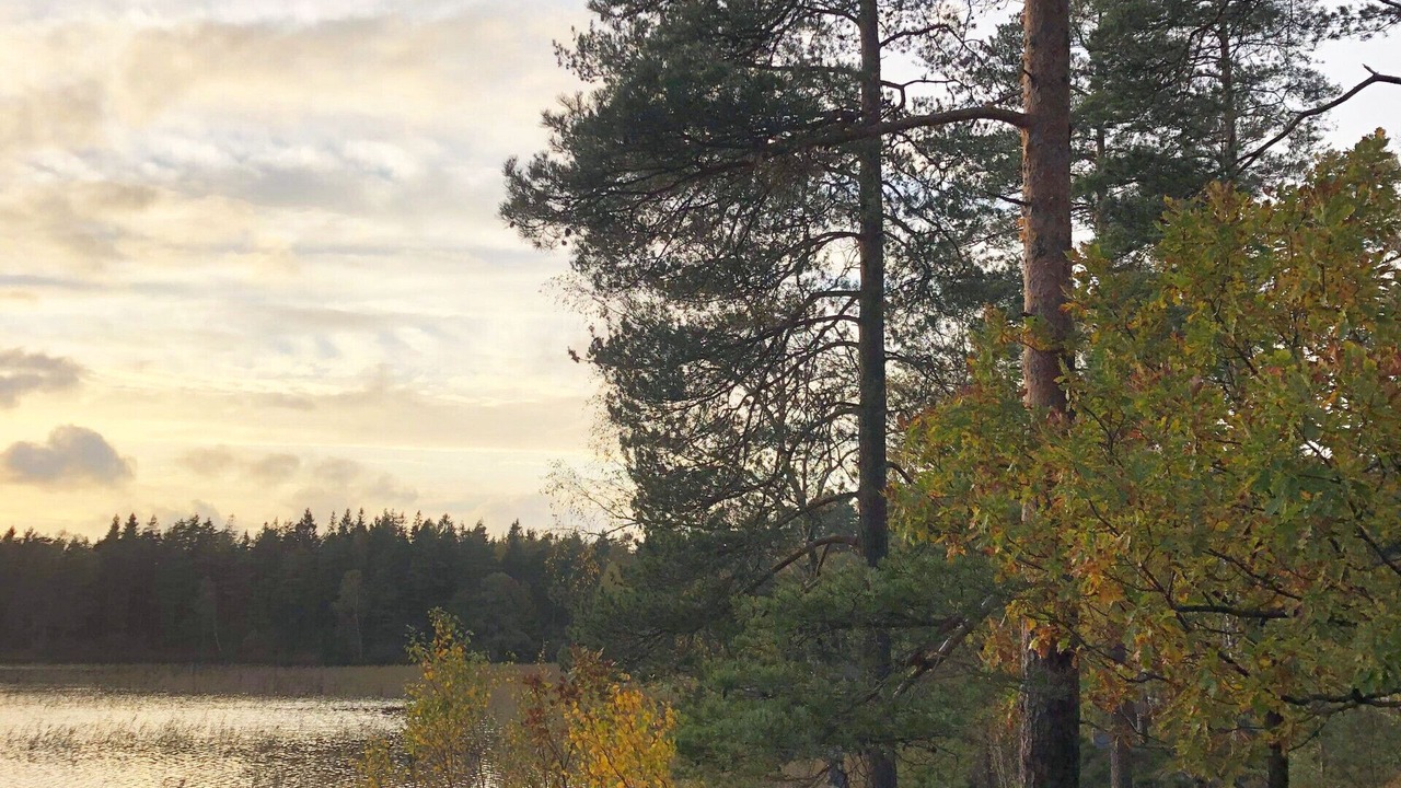 Photo of Outdoor in Byholma