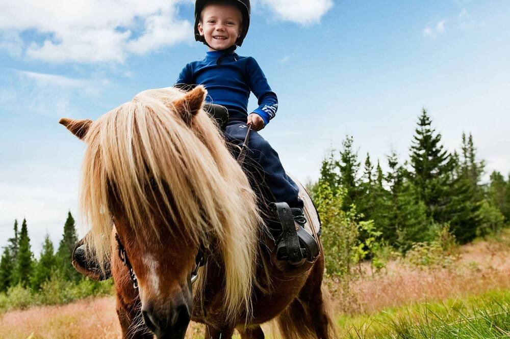 Photo of Others in Trysil