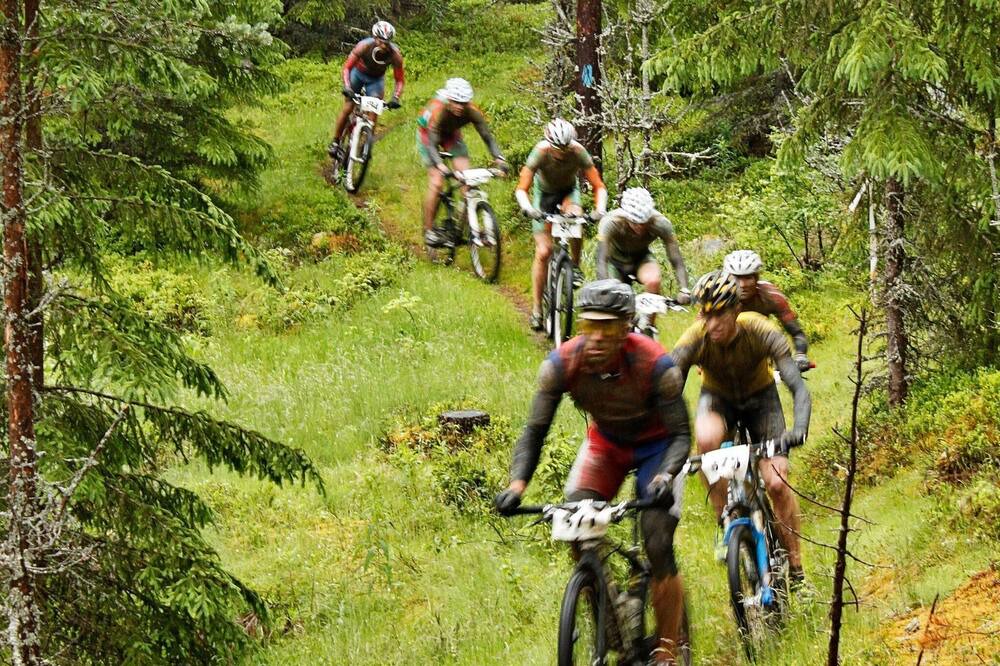 Photo of Others in Trysil