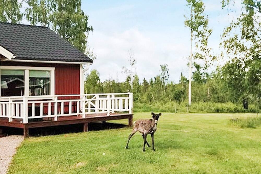 Photo of Outdoor in Overkalix